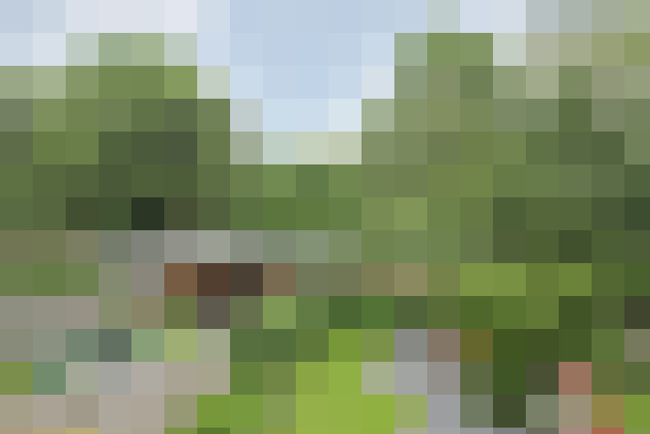 Image 29