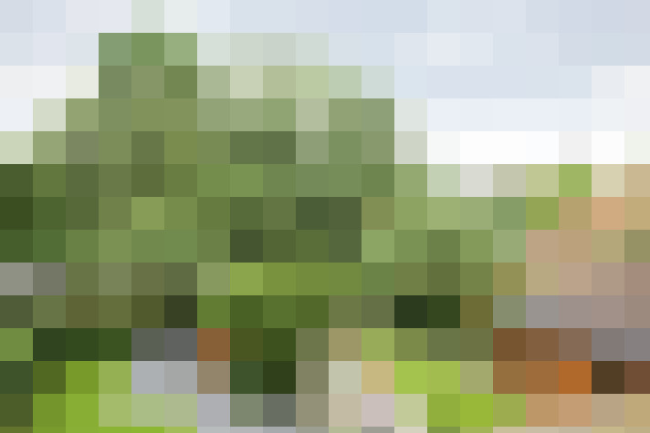 Image 30