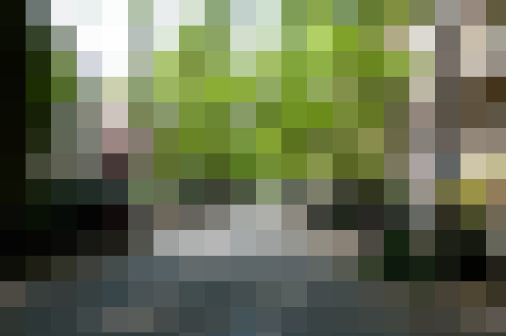 Image 26