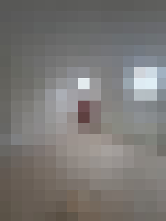 Image 20