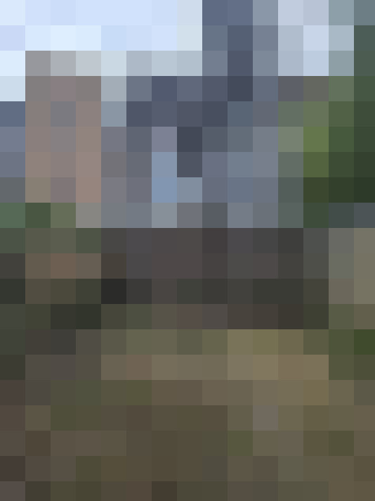 Image 23