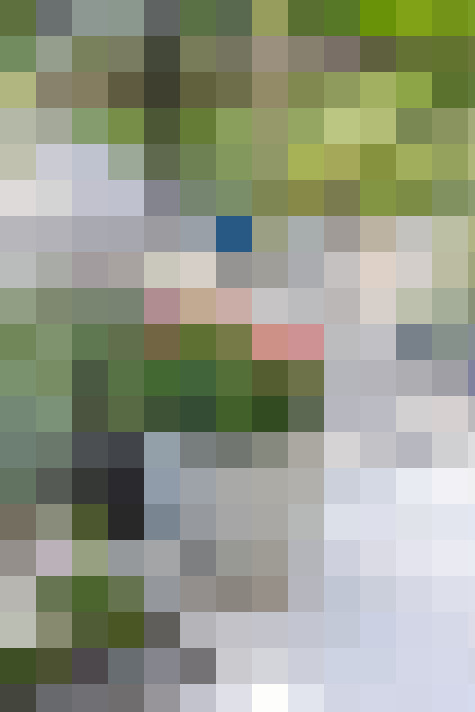 Image 38