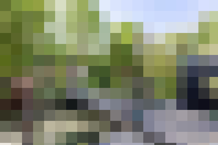 Image 31