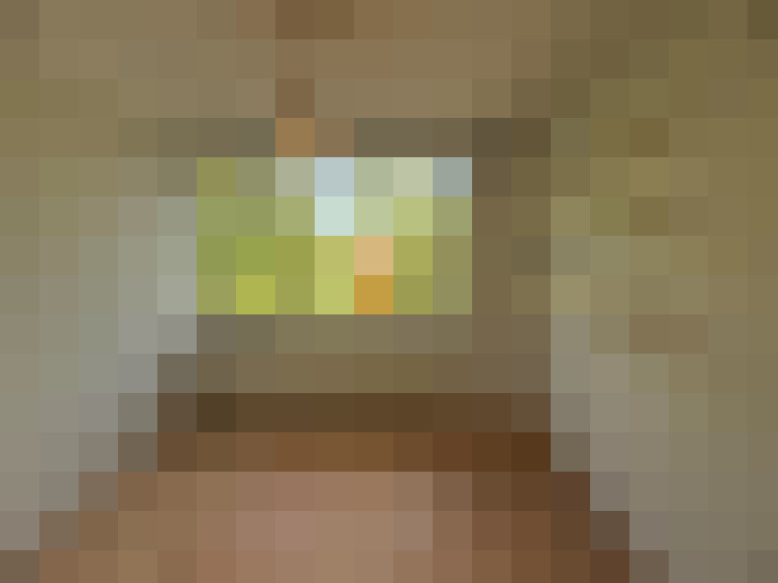 Image 39
