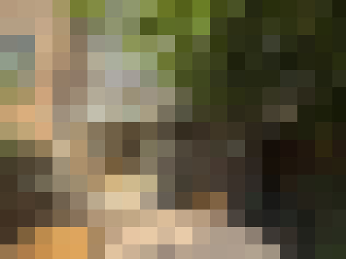 Image 20
