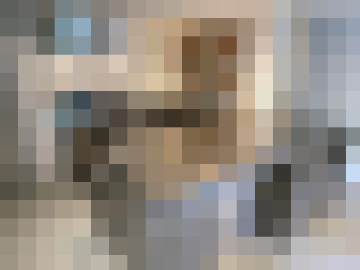 Image 15