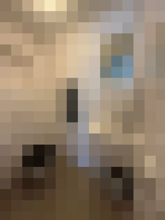 Image 22