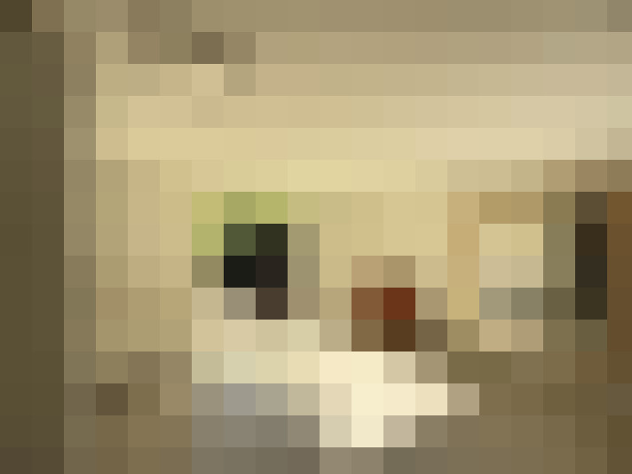 Image 17