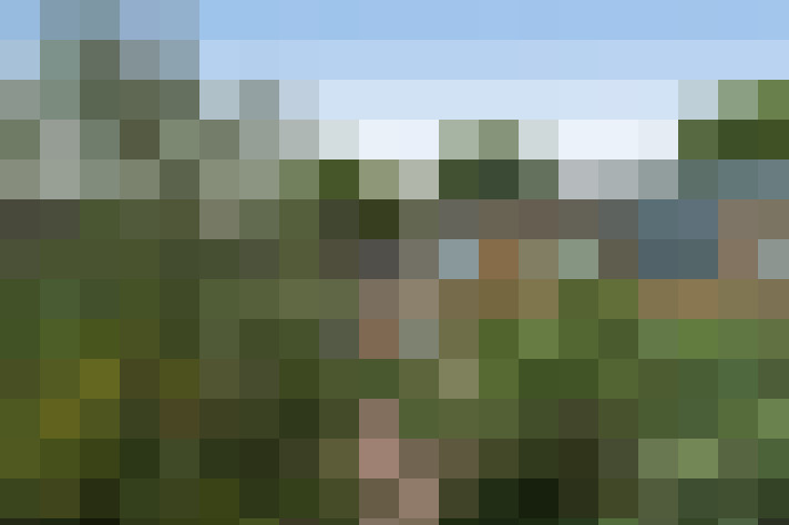 Image 21
