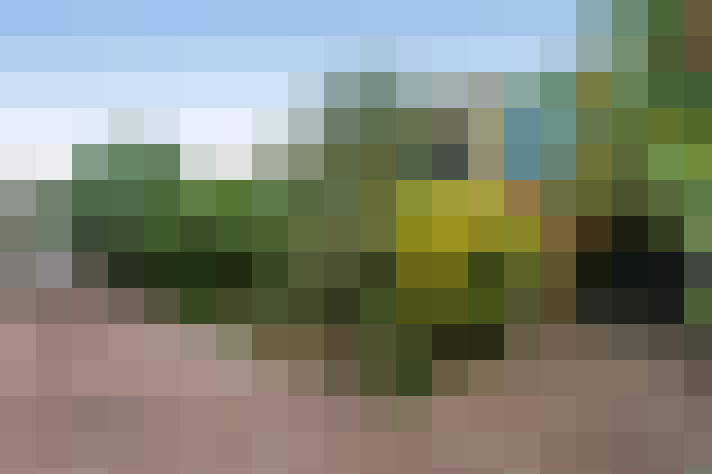 Image 20