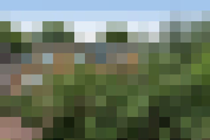 Image 23