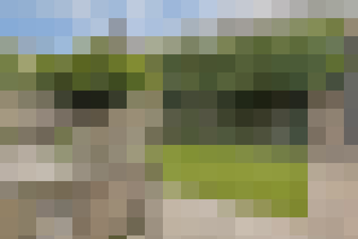 Image 15