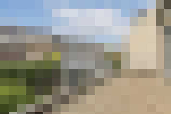 Image 26