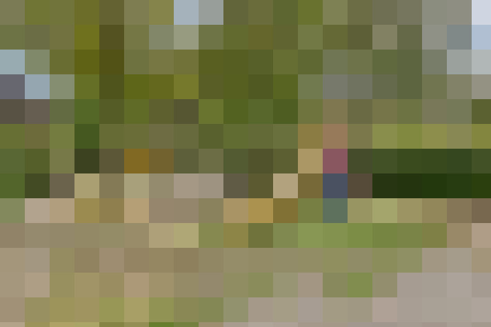 Image 44