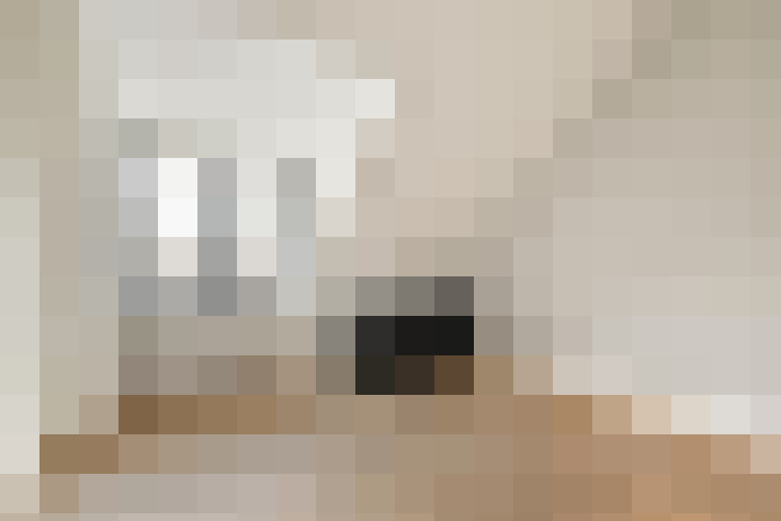 Image 39