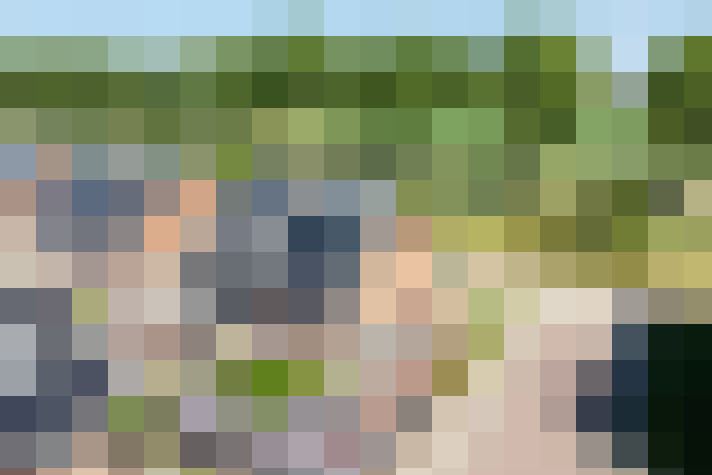 Image 41