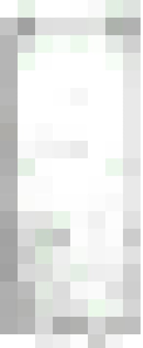 Image 16