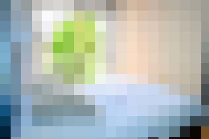 Image 17