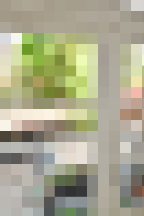 Image 24