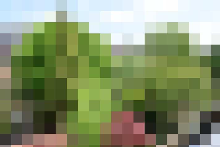 Image 39