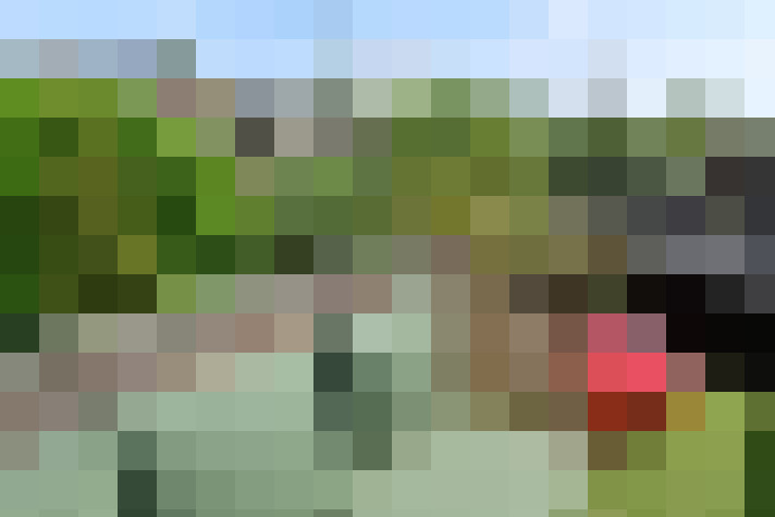 Image 38