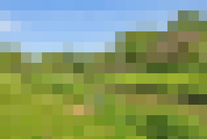 Image 41