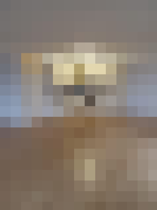 Image 15