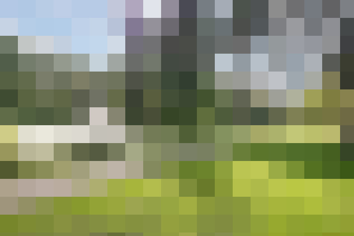 Image 31