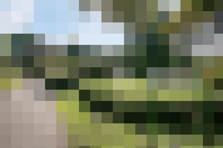 Image 30