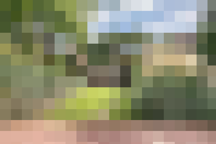Image 15