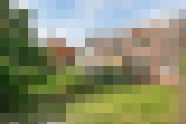 Image 14