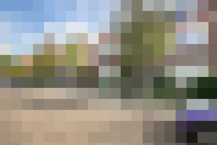 Image 29