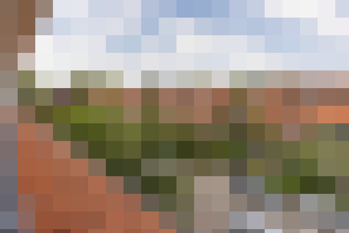 Image 40
