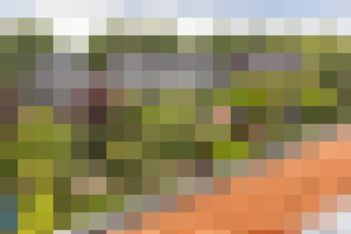 Image 41