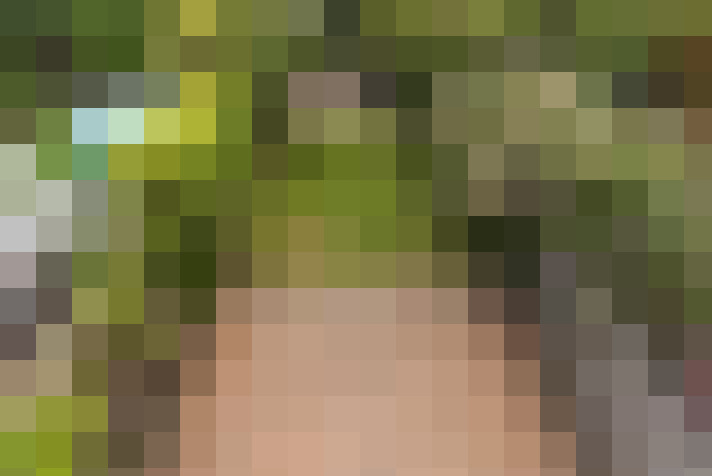 Image 34