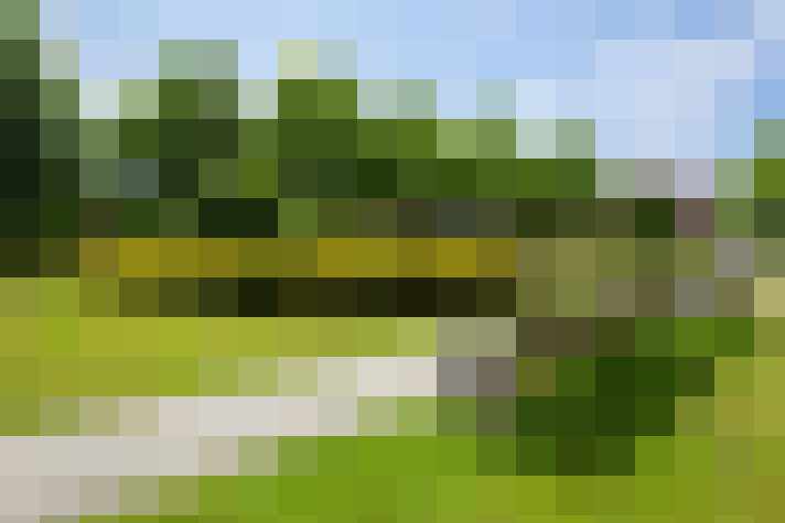 Image 20