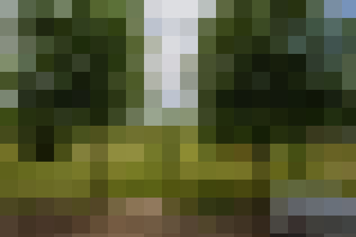 Image 18