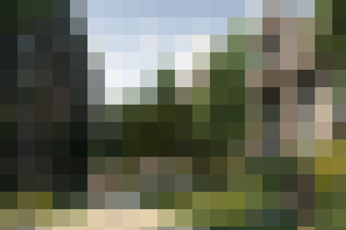 Image 17