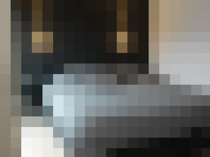 Image 18