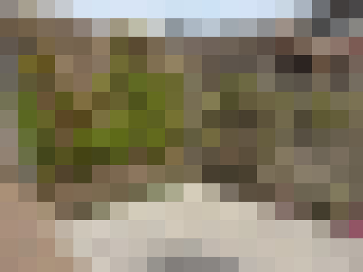 Image 23
