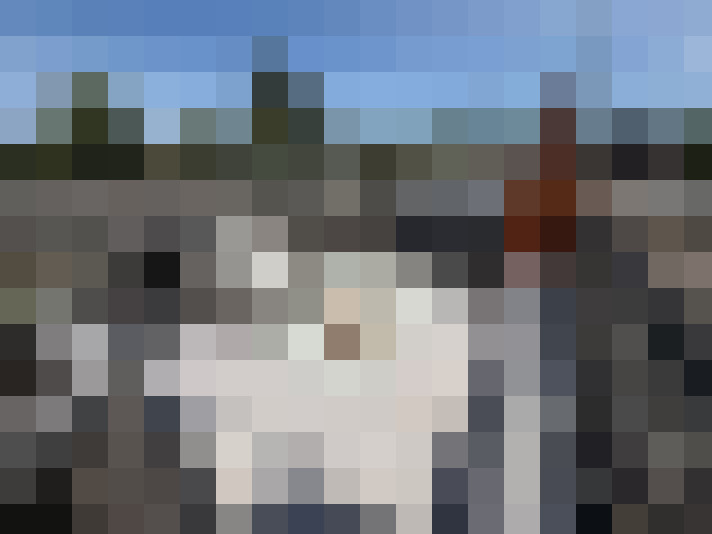 Image 23