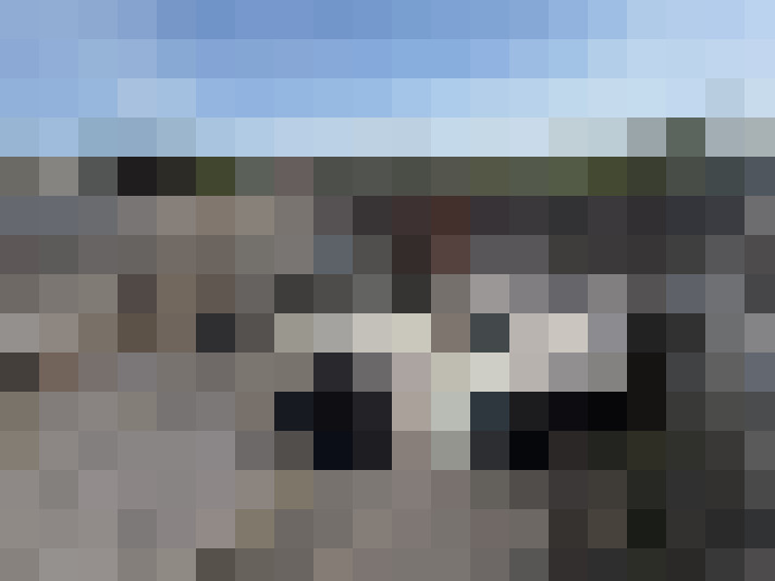 Image 25