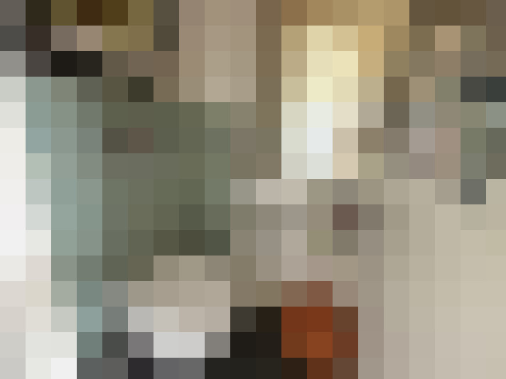 Image 22