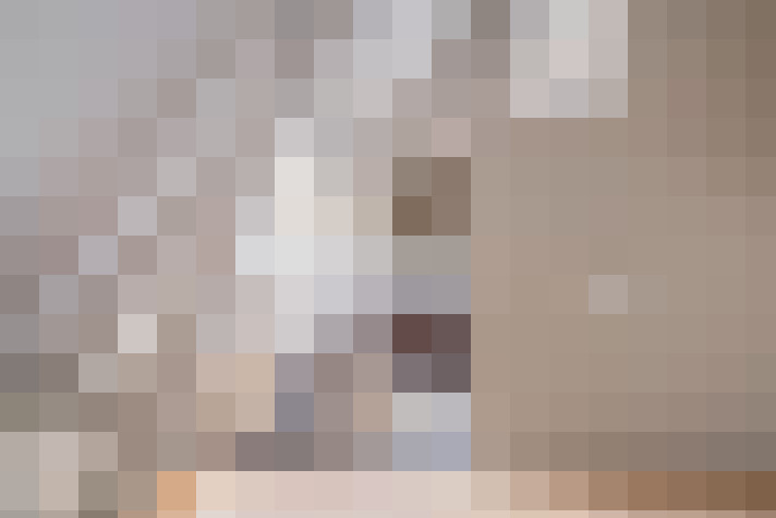 Image 29