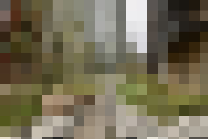 Image 20