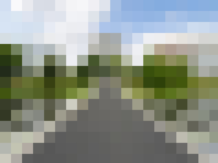 Image 37