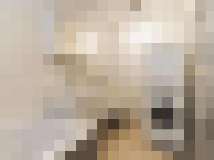 Image 29