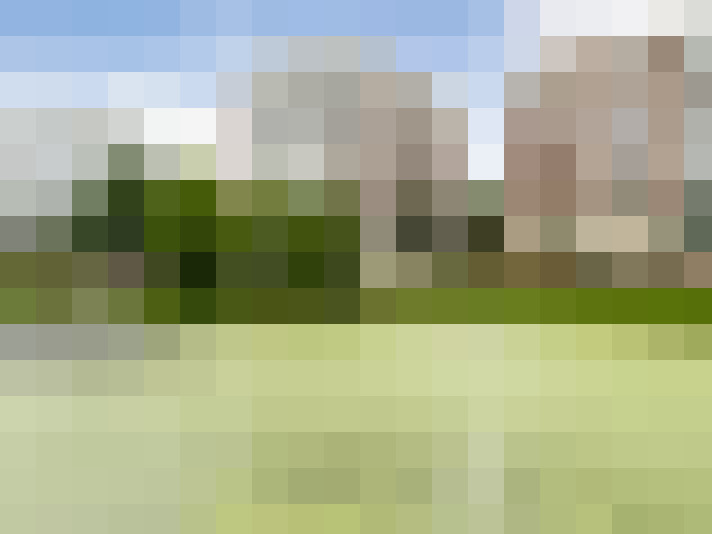 Image 39
