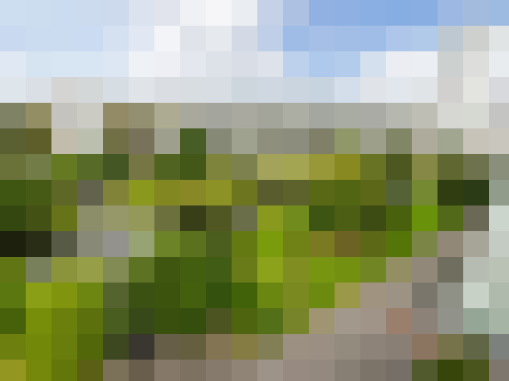 Image 41