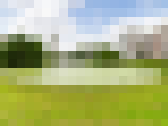 Image 40